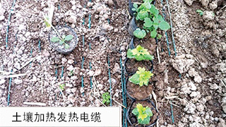 �����ӟ�l(f��)����|