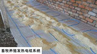 �����B(y��ng)ֳ�l(f��)����|